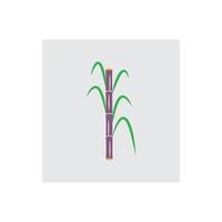 Sugarcane logo and symbol design vector