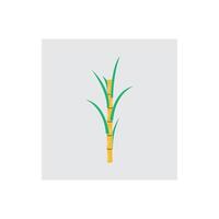 Sugarcane logo and symbol vector