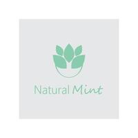 Mint logo background leaf and symbol vector