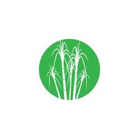 Sugarcane logo stylized vector
