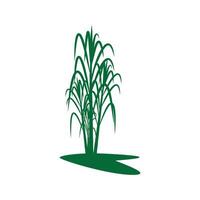 Sugarcane with logo and symbol design vector
