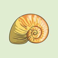 Handdrawn Illustration of a Chambered Nautilus Seashell vector
