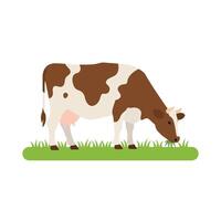 Flat Dairy Cow with Black Patches and Green Grass vector