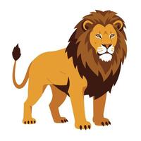 Jungle Animal Graphic Featuring Calm Male Lion vector