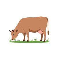 Grazing Cartoon Cow Illustration in Flat Style vector