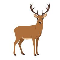 Flat Deer Illustration Grazing in Side Profile vector