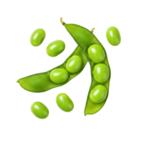Fresh edamame beans in pods and loose, isolated on transparent background png