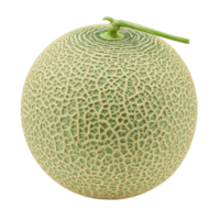 Isolated whole cantaloupe melon with green stem on transparent background png
