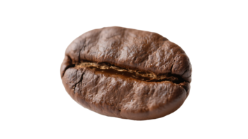 Transparent of Roasted Coffee Bean, Close-up Detailed Image of a Single Dark Brown Roasted Coffee Bean with Visible Texture and Crack, Isolated on a Transparent Background for Design Elements png