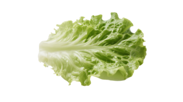 Transparent Green Lettuce Leaf , High-Resolution Image of a Single Fresh Green Lettuce Leaf Isolated on a Transparent Background, Perfect for Culinary, Health, and Design Projects png
