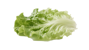 Transparent Green Lettuce Leaf , Fresh, Crisp Lettuce Leaf Isolated on Transparent Background, Perfect for Salad or Food Design Compositions png