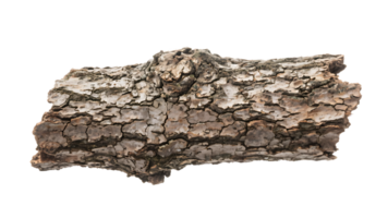 Transparent of Tree Bark Texture, Detailed Close-up of Rough, Cracked Tree Bark with Neutral Brown and Gray Tones Isolated on Transparent Background for Design Elements png