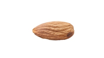 Transparent Almond, Single Peeled Almond Nut Isolated on Transparent Background, High-Resolution Image for Food Design and Packaging png