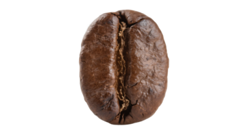 Transparent of Roasted Coffee Bean, Close-up Detailed Image of a Single Dark Brown Coffee Bean Isolated on a Transparent Background, Ideal for Coffee-Themed Designs and Packaging png