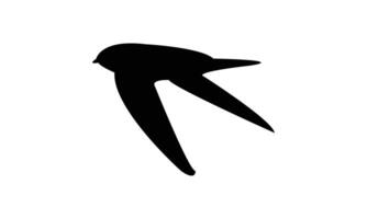 Flying Ameline swiftlet bird Silhouette Design vector