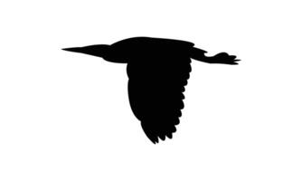 Flying American bittern bird Silhouette vector