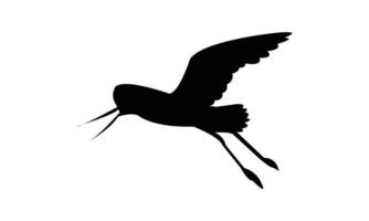 American avocet bird black Silhouette Design And Illustration. vector