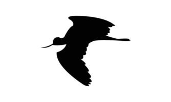 Flying American avocet bird black Silhouette Design And Illustration. vector