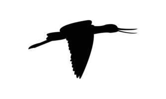 Flying American avocet bird Silhouette Design And Illustration. vector
