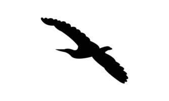 Flying American bittern bird black Silhouette vector