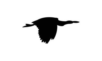 Flying American bittern bird Silhouette Design And Illustration. vector