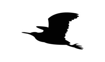 Flying American bittern bird Silhouette Design vector