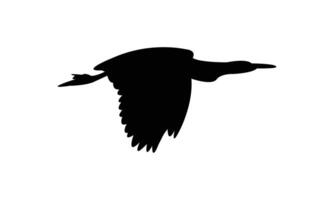 Flying American bittern black Silhouette Design And Illustration. vector