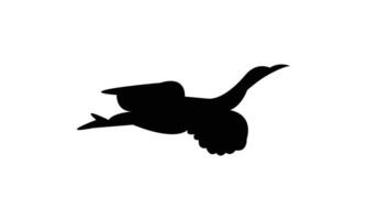 Flying American bittern black Silhouette Design vector
