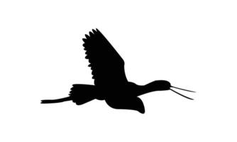 Flying American avocet black Silhouette vector