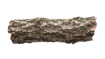 Transparent Tree Bark , High-Resolution Image of Cracked and Textured Tree Bark on a Transparent Background, Ideal for Design and Crafting Projects. png