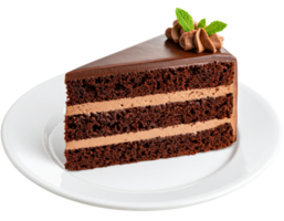 Decadent chocolate layer cake slice with rich frosting, coffee beans and mint garnish on white plate png