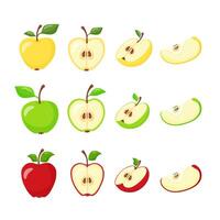 Set of fruit illustrations of apples green, yellow, red. Apples in section. Hand drawn. vector