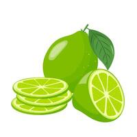 Lime icons set. Bright whole fruit, half, slices with leaves. Food for a healthy diet, dessert and lemonade. Elements for spring and summer design. illustration vector