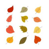colorful set of autumn leaves on a light background. vector