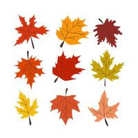 colorful set of autumn, maple leaves on a light background. vector