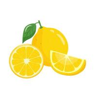 Yellow lemon citrus fruit set with slice pieces, whole and slice isolated on white background. Tropical fruit sweetness season. Realistic illustration. vector