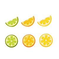 Citrus fruits. set of lemon, orange, lime slices, on white background. vector