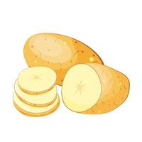 set of potatoes whole in section slices, wedges, slices, isolated on white background. vector