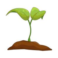 Sprout Growing in Soil vector