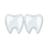 Two Healthy Teeth vector
