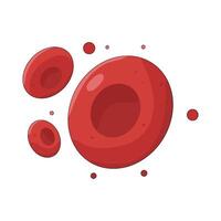 Red Blood Cells vector