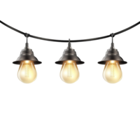 Warm Edison Bulb String Lights on Curved Wire png
