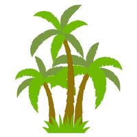 Palm tree icon isolated on white background. Flat design. Illustration vector