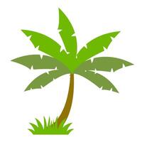 Coconut tree icon. Flat illustration of coconut tree icon for web vector