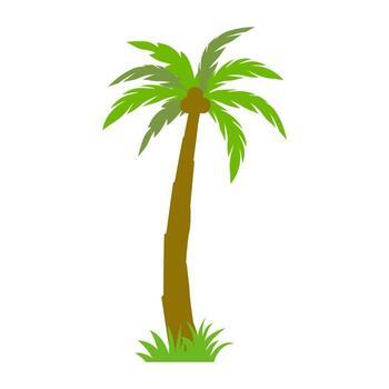 Palm tree icon. Flat illustration of palm tree icon for web vector