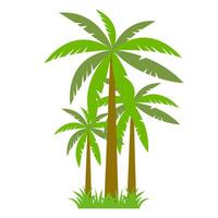 Palm tree icon on white background. Flat style. illustration. vector