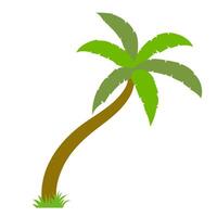 Coconut palm tree icon. Palm Tree illustration sign. Palm symbol or logo design. vector