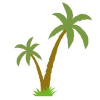 Palm tree web icon isolated on white background. Flat style. illustration. vector
