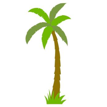 palma árbol icono. plano ilustración de palma árbol icono para web diseño vector