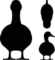 Duck silhouette illustration, top and front view. vector